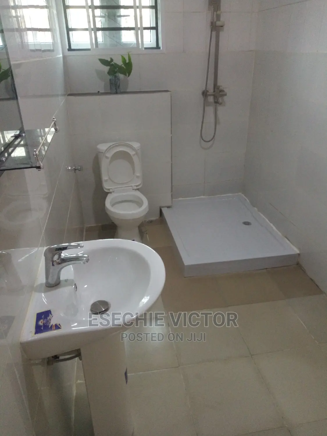 Professional Cleaning and Fumigation Service