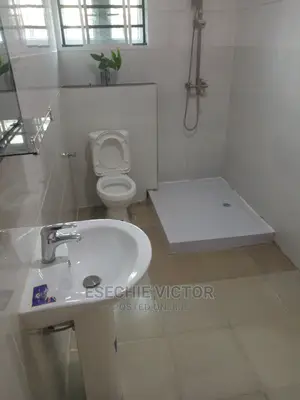 Professional Cleaning and Fumigation Service