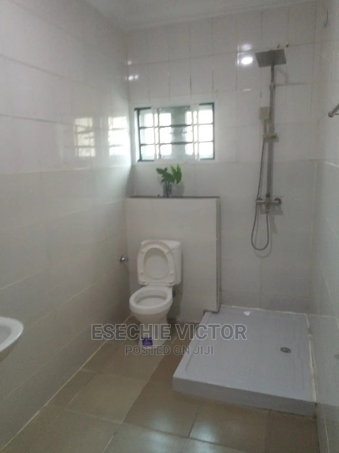 Professional Cleaning and Fumigation Service