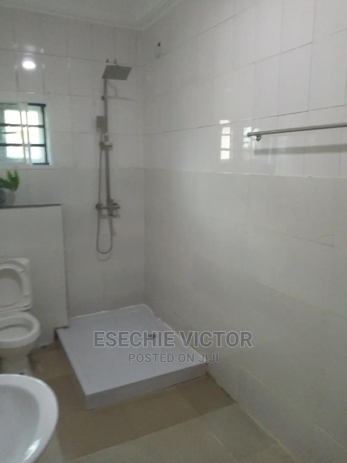Professional Cleaning and Fumigation Service