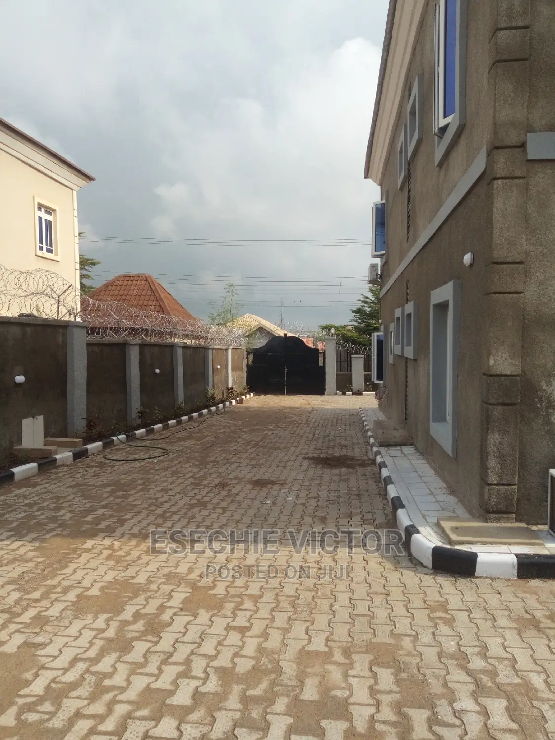 Professional Cleaning and Fumigation Service