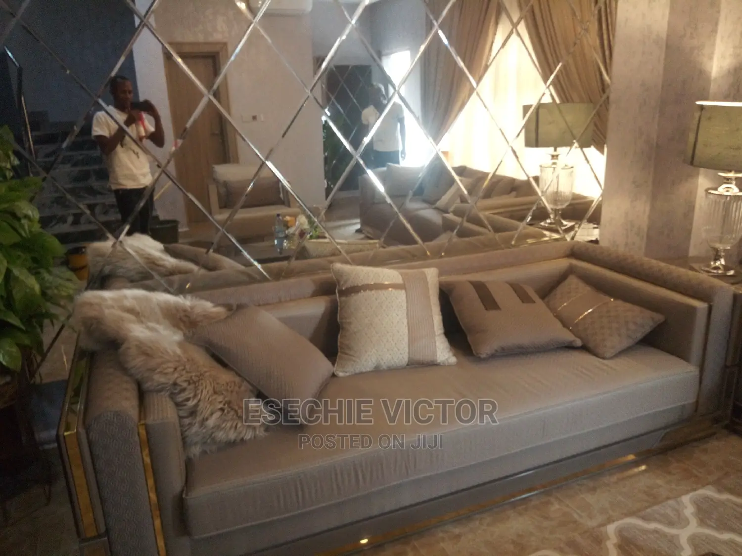 Professional Cleaning and Fumigation Service