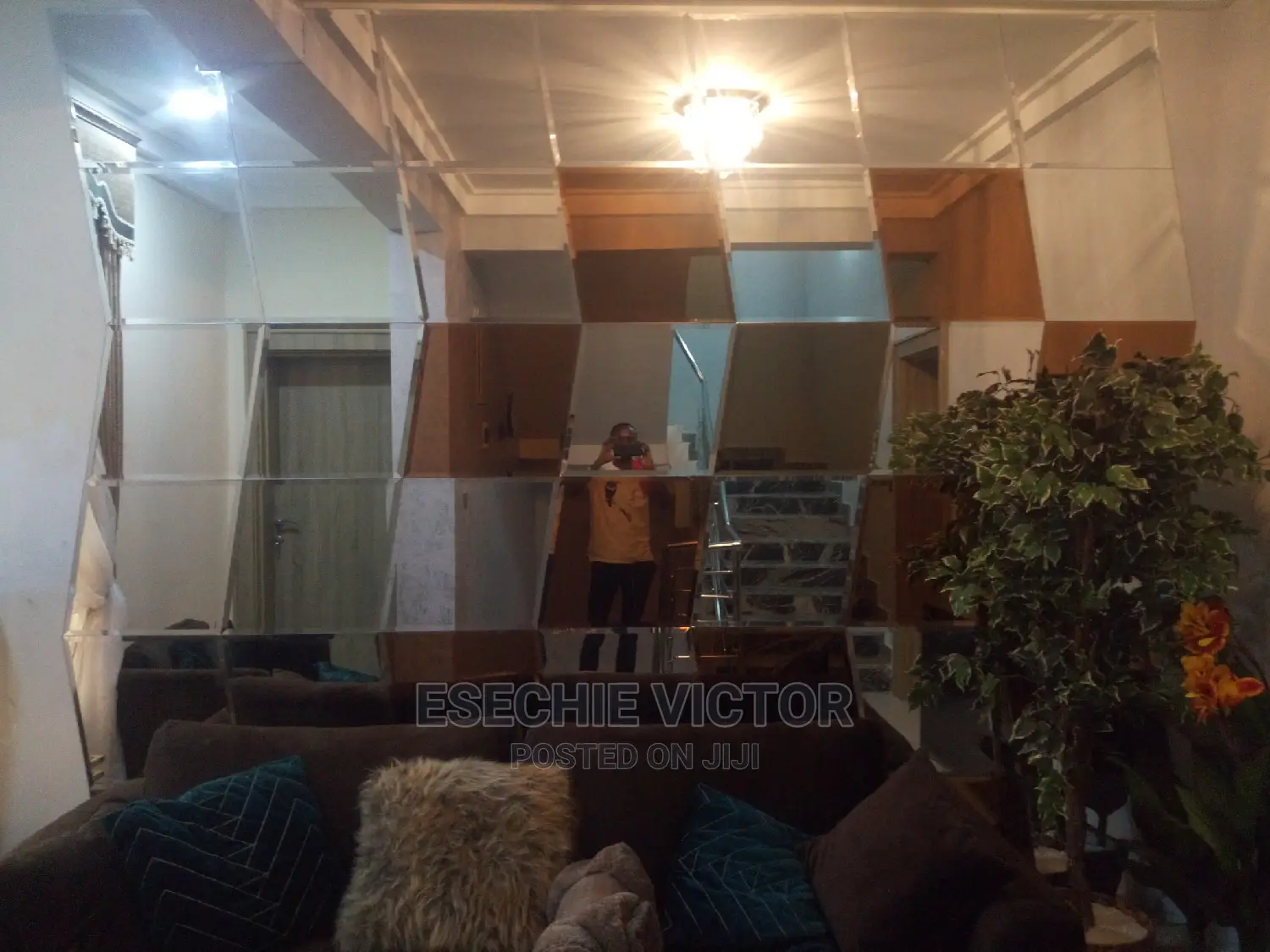 Professional Cleaning and Fumigation Service