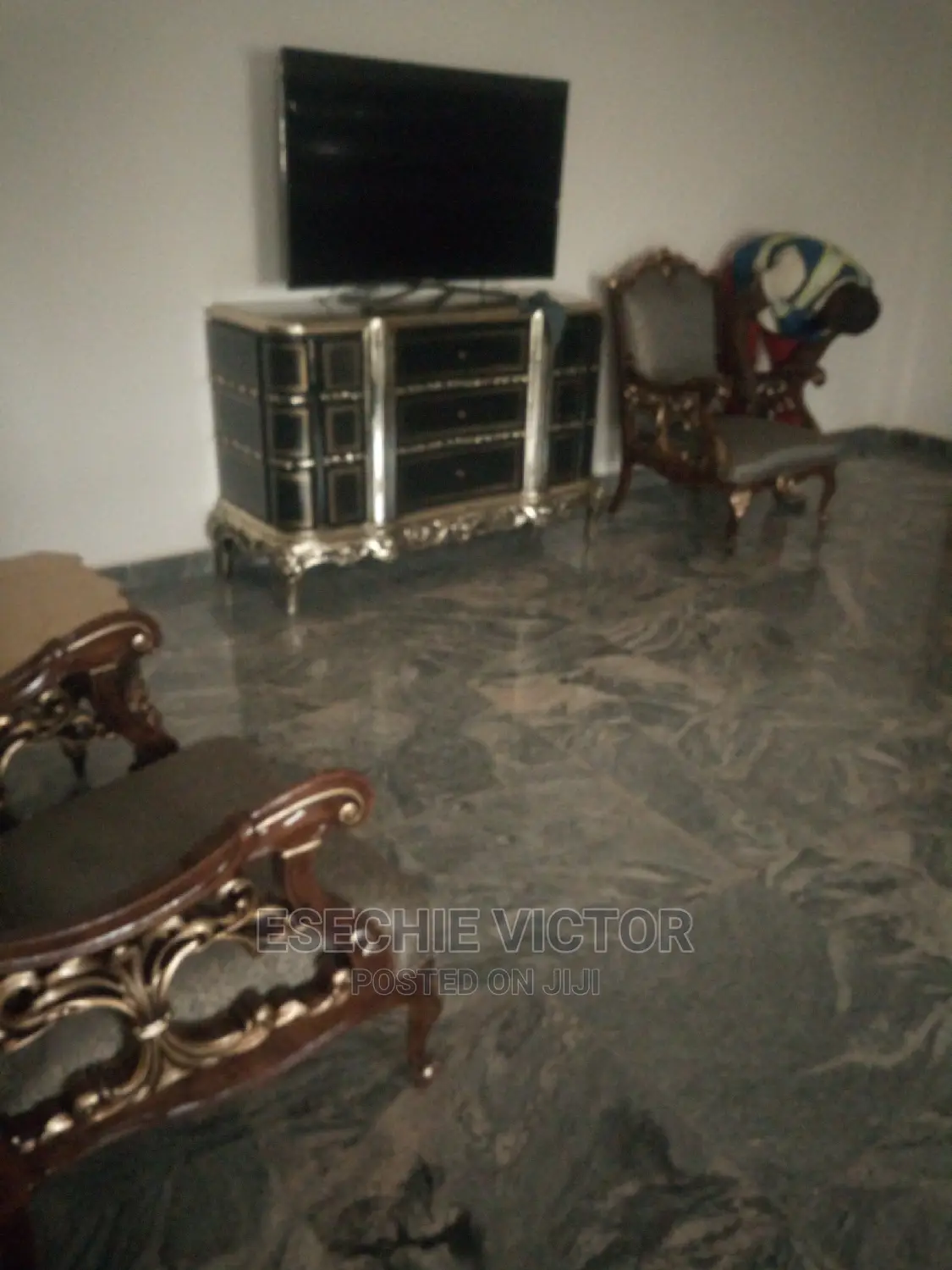 Professional Cleaning and Fumigation Service