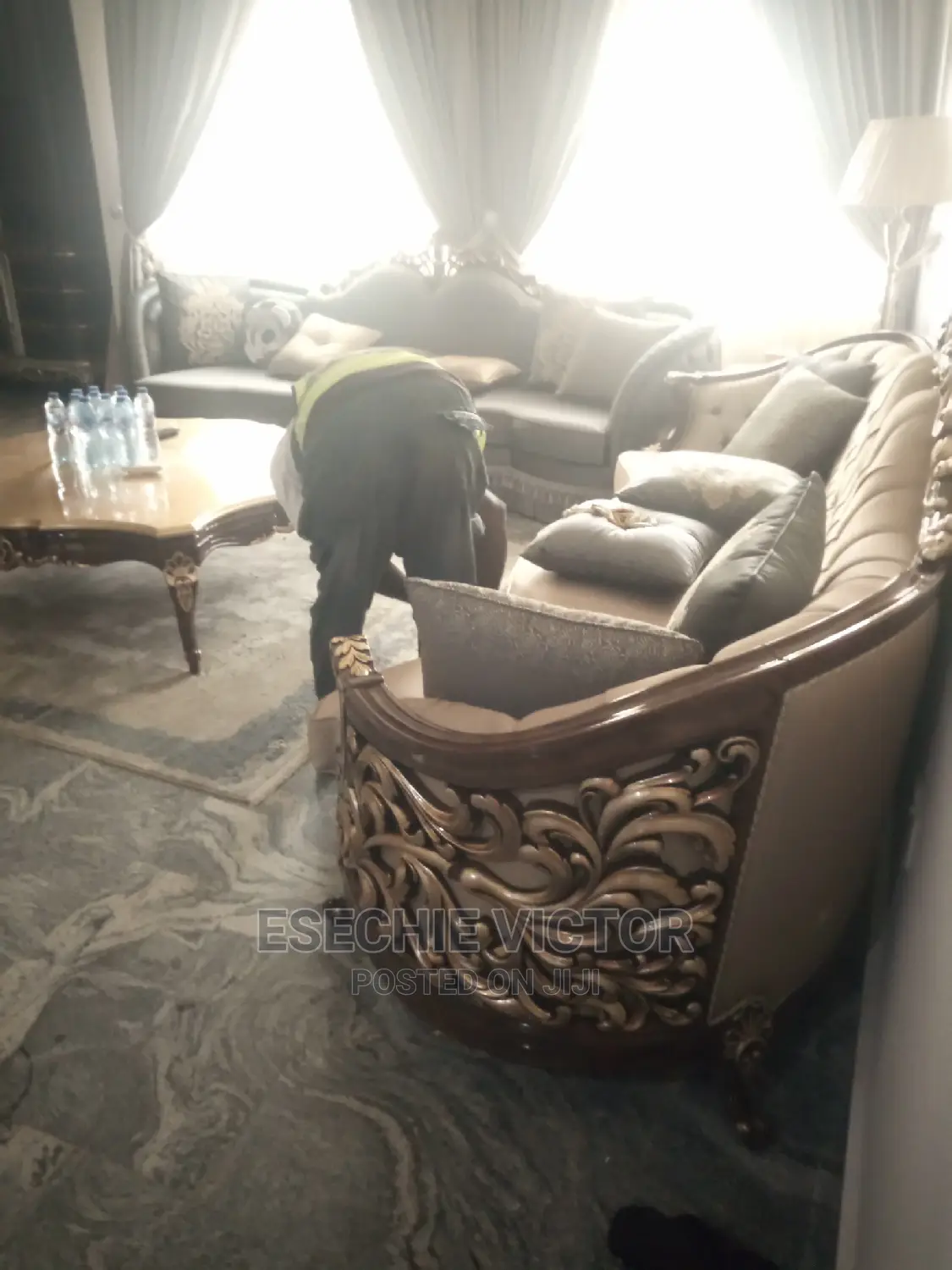 Professional Cleaning and Fumigation Service