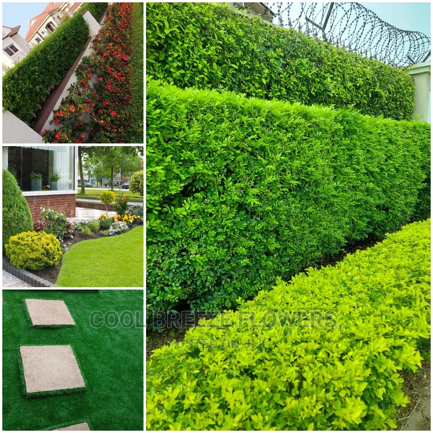 Qualify Landscaping Service