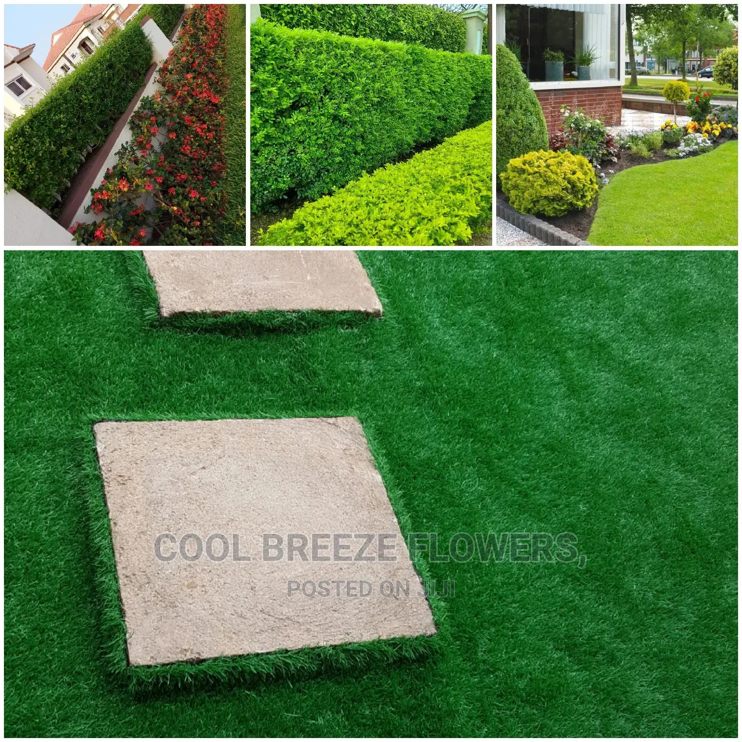 Qualify Landscaping Service