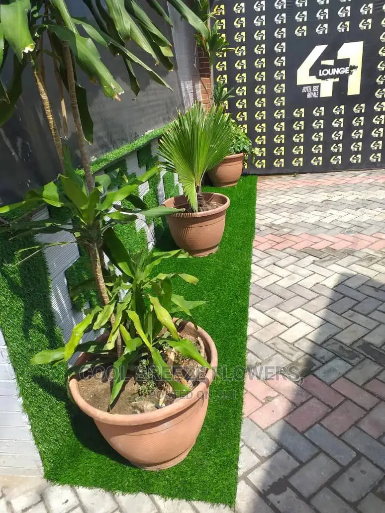 Artificial Grass Design Service