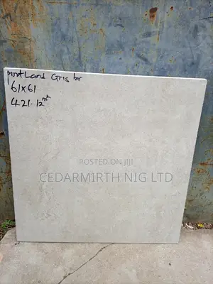 Portland Gris Brillo Spanish Floor Tile