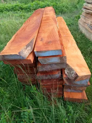 Quality Wood for Furniture Work