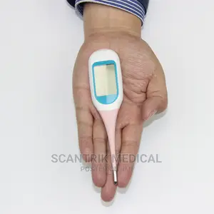 Lower Price Clinical Medical Thermometer