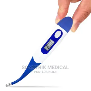 CE Approved Medical Clinical Thermometer