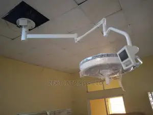 Ceiling LED Light
