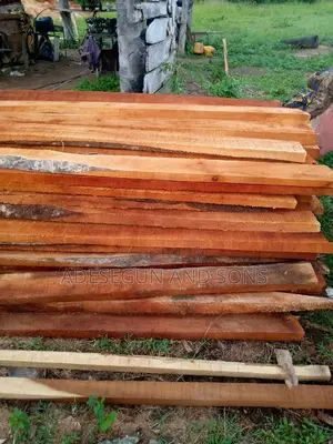 Mahogany Wood,In Different Sizes