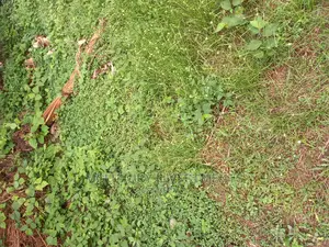 HOT SALES , 11,840sqm Mixed Use Land Off Oregun Rd Ikj N15B