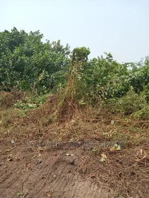 50000sqm Land With Cofo for Sale in Ikeja