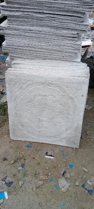 Janix Builders Nig Enterprises