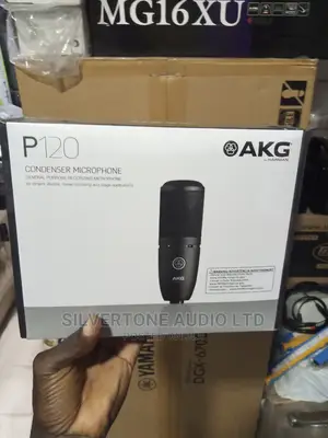Original AKG Studio Microphone P120