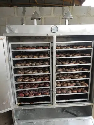 Fish Dryer Machine
