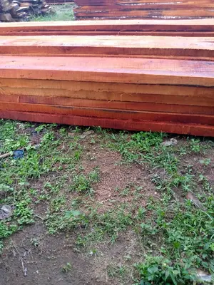 Mahogany Wood for Furniture Purposes