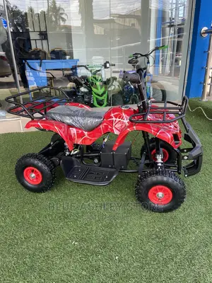 ATV 24volt Ride-on Quad