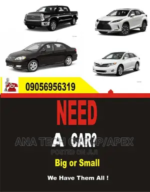 Photo - Car Dealer