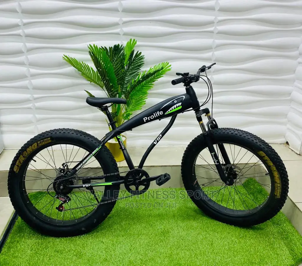 Big Tire Bicycles- Adult