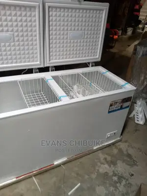Skyrun Double Door Freezer Bd550