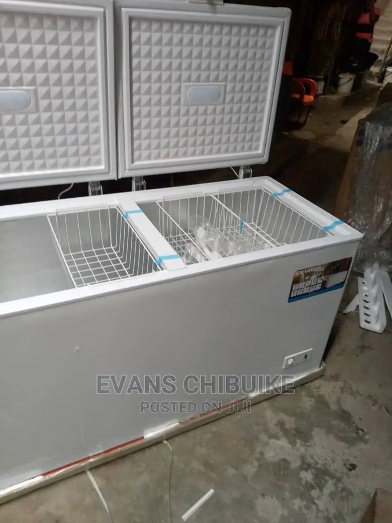 Skyrun Double Door Freezer Bd550