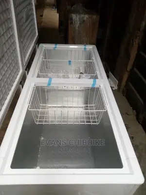 Skyrun Double Door Freezer Bd550