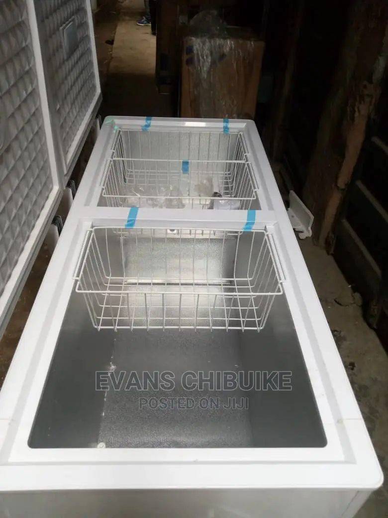 Skyrun Double Door Freezer Bd550