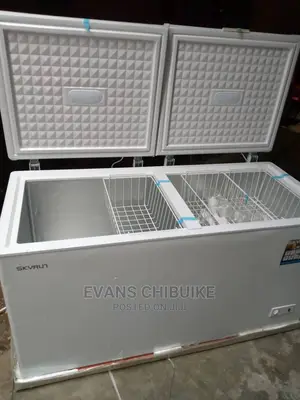 Skyrun Double Door Freezer Bd550