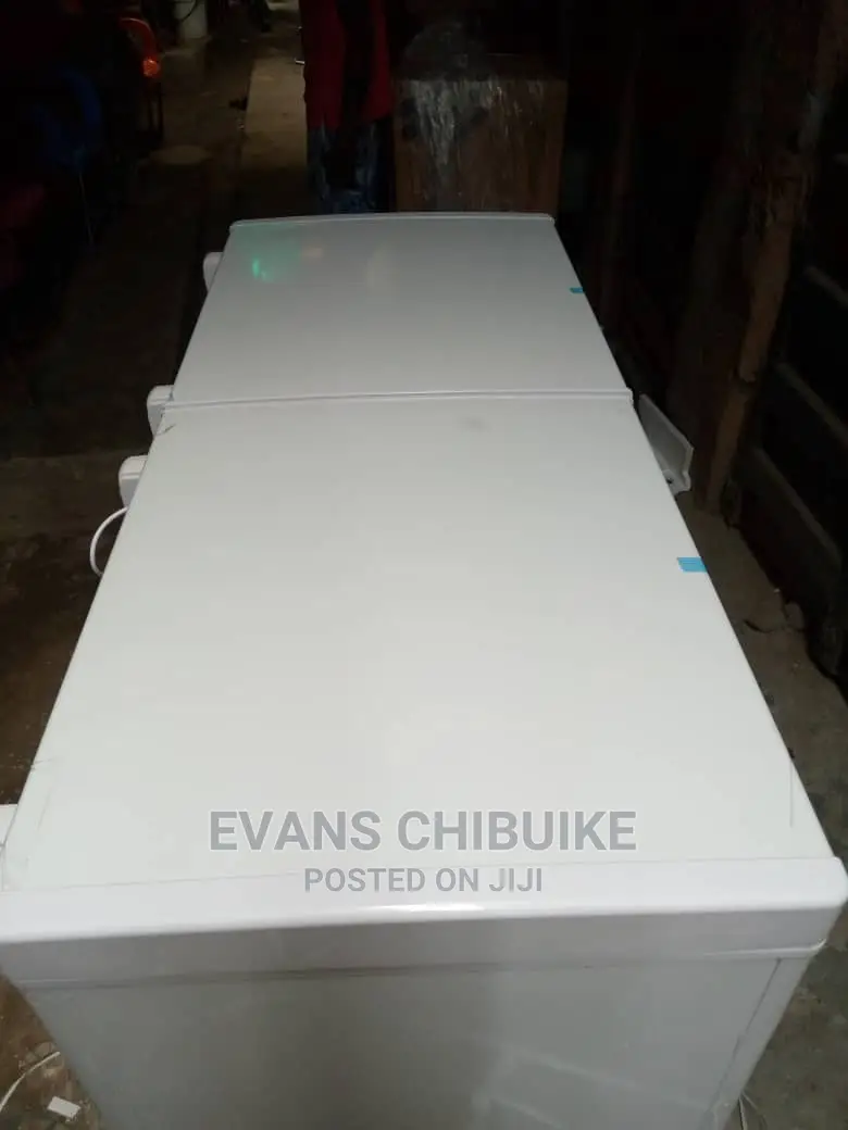 Skyrun Double Door Freezer Bd550