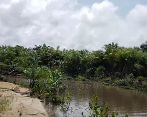 Swamp Clearing Manual and Swamp Buggy