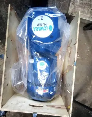Lowara Water Pump 2" 2hp