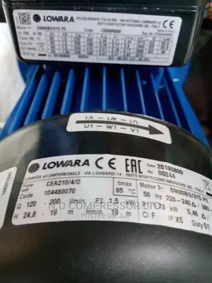 3 Horsepower Lowara Pump