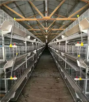 Imported Battery Cages