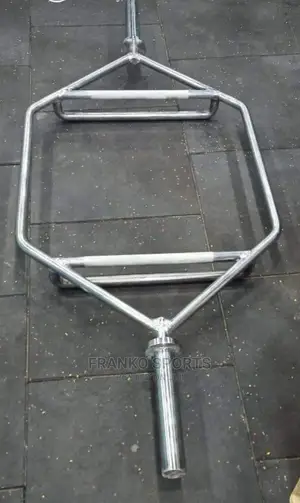 Olympic Squatting Bar