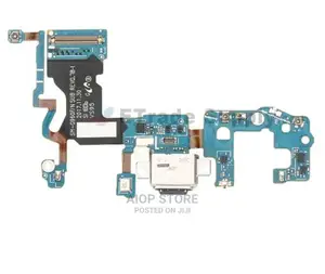 S9 Charging Port
