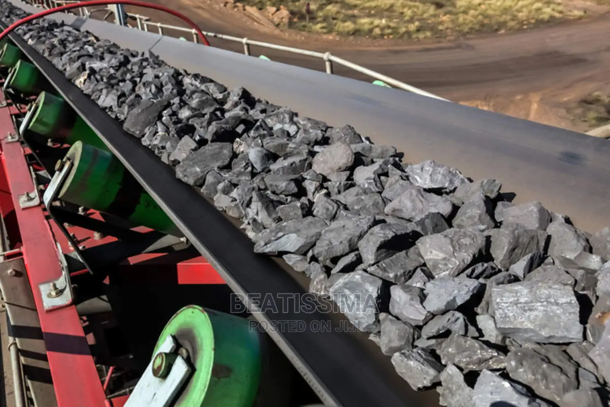 Industrial Conveyors
