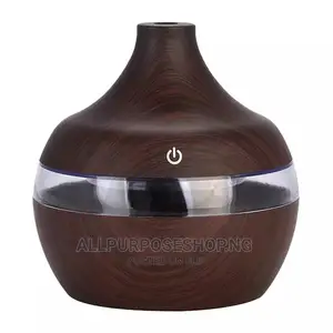 300ml Humidifier. Reduces Dust, Makes the Home Moist
