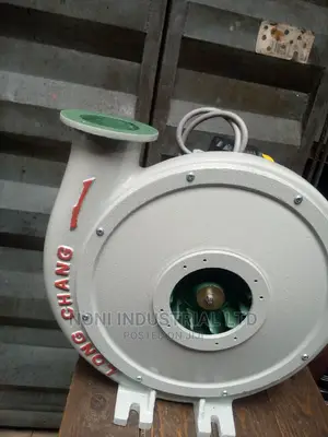 Blower Motor