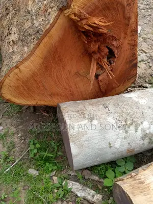 Mahogany Wood, Timber Woods