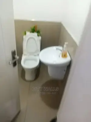 A Tastefully Furnished Mini Flat