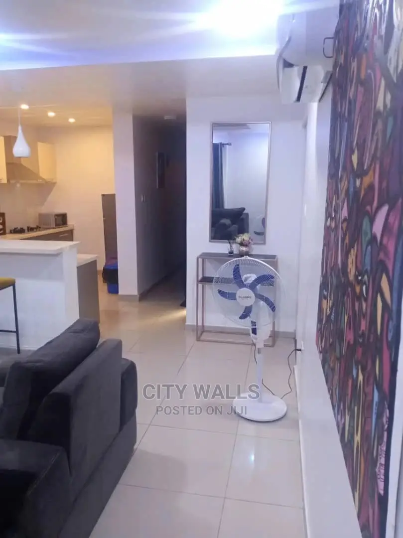 A Tastefully Furnished Mini Flat