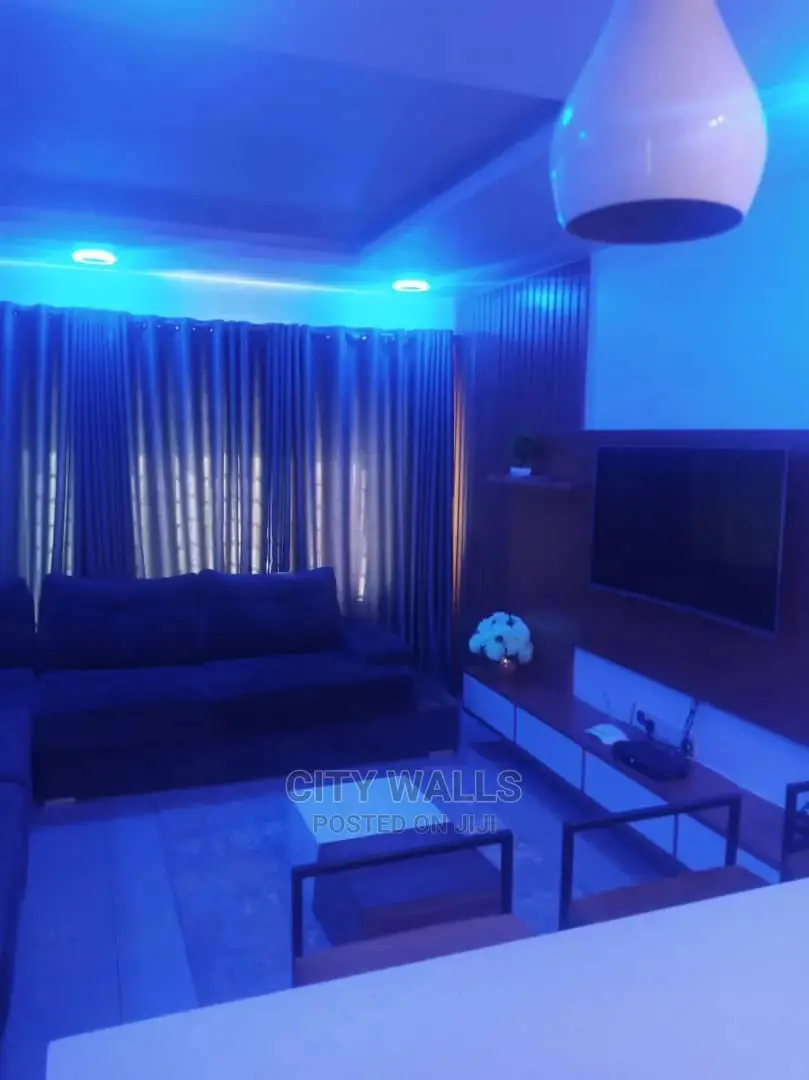A Tastefully Furnished Mini Flat