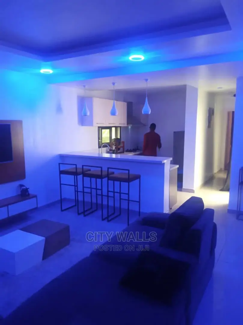 A Tastefully Furnished Mini Flat