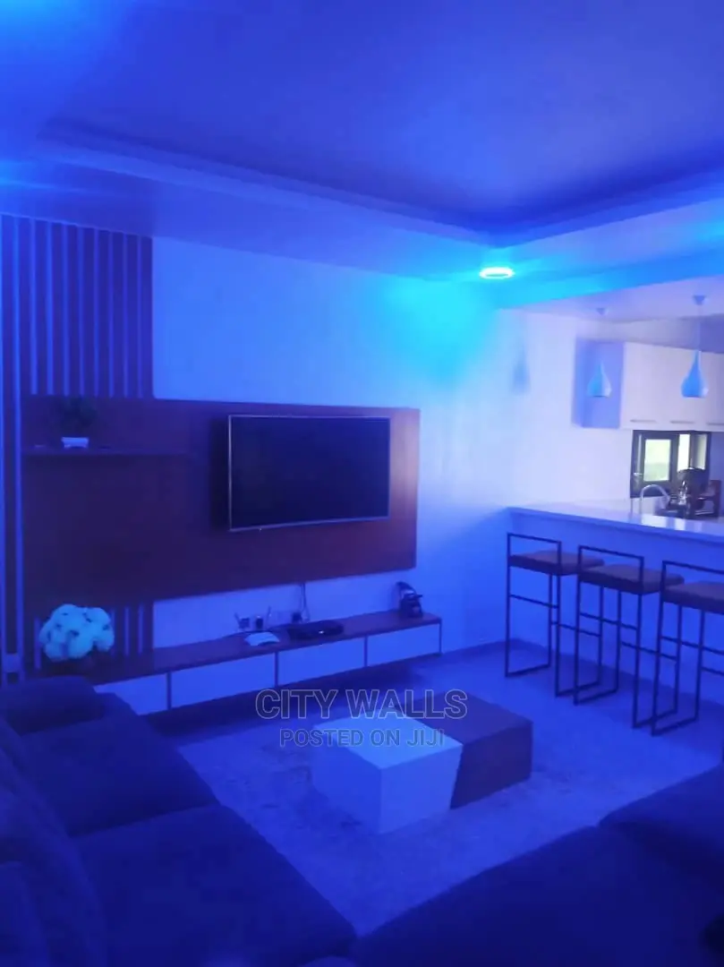 A Tastefully Furnished Mini Flat