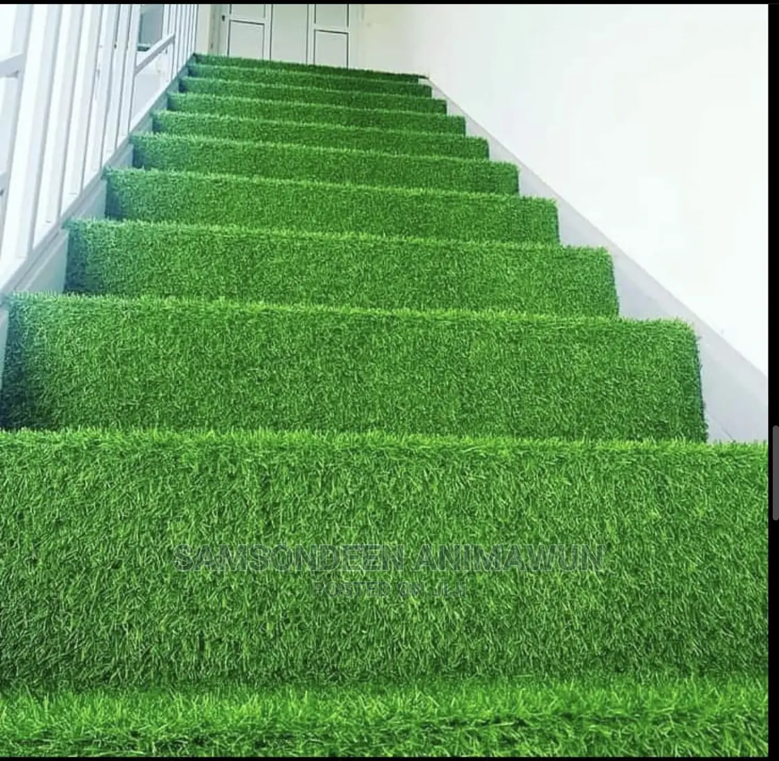 Turkish Carpet Grass (Free DELIVERY)