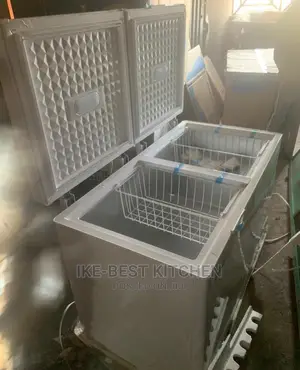 Skyrun 550L Deep Freezer